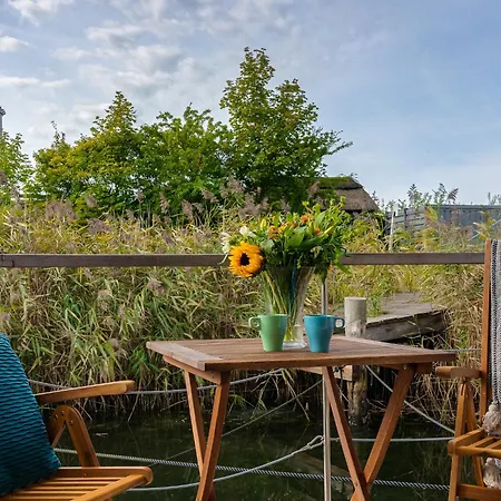 Tordalk Grossenbrode-Kai